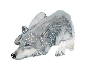 Гномоград город: ۩命۩ OdInOkIy  VoLk ۩命۩ 07edf9f98a5fbd63ed44112a5e17c86e