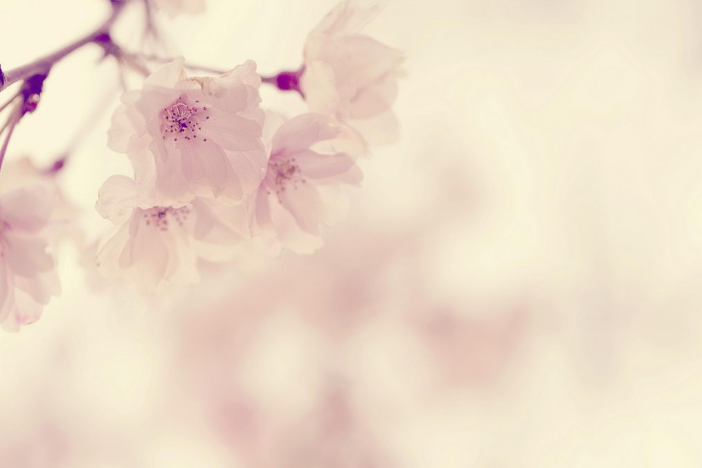 Гномоград город: NIRVANA 6157e6f23bcccc09a2395643d3a653b5